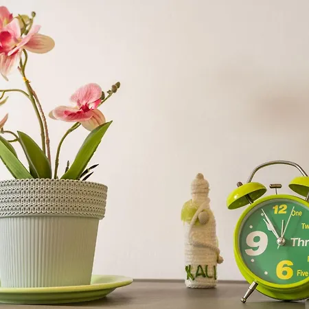 Lolo 두브로브니크